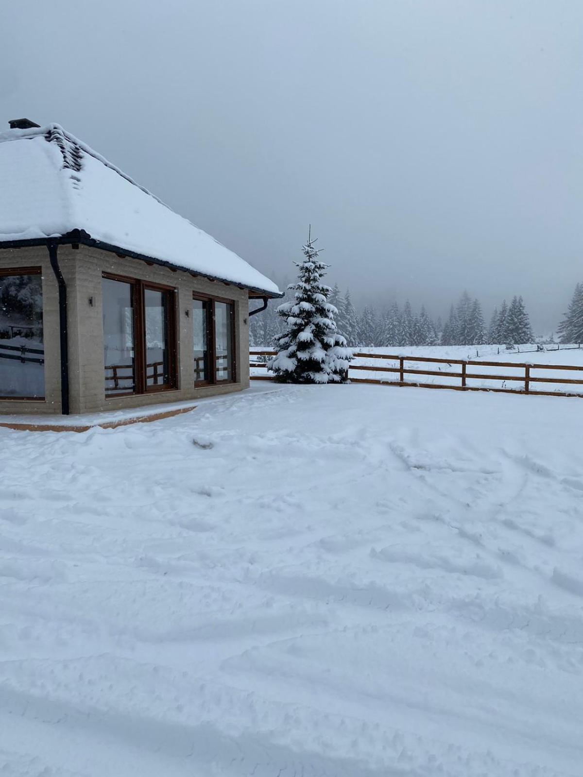 Vikendica Krlic Vila Mitrovac Exterior foto